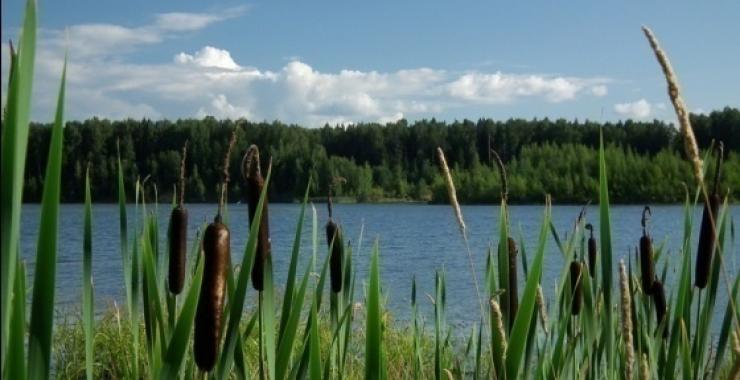 Фото: из открытых источников