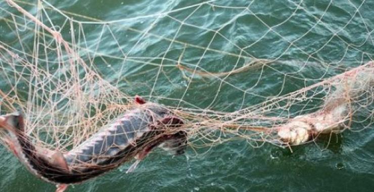 Россия задержала украинских рыбалок в Азовском море. Фото: Comments.UA
