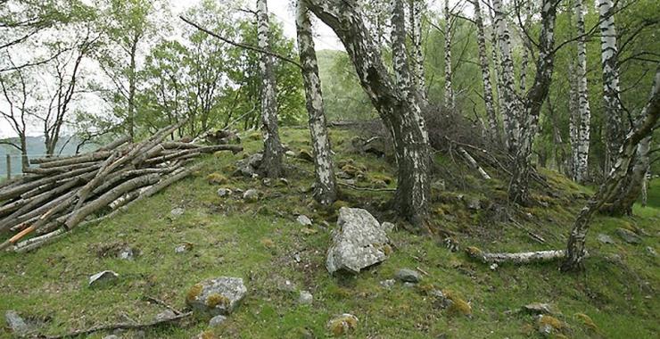 В Норвегии под землей обнаружили корабль викингов. Фото: Kompravda.eu