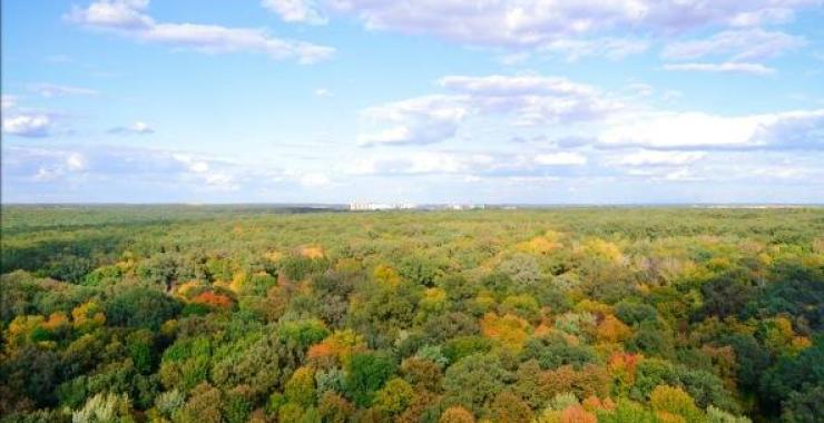 Городу вернули три гектара лесопарка. Фото: All-Ukraine