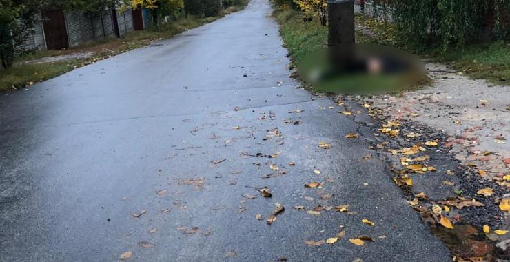 сбил женщину в Высоком. Фото: ГУНП в Харьковской области