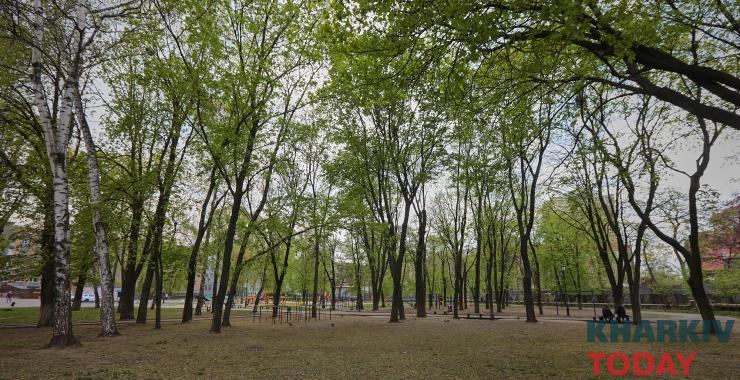 Фото: Сергей Козлов/KHARKIV Today