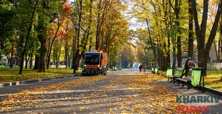 осень погода сад Шевченко. Фото: Сергей Козлов / KHARKIV Today