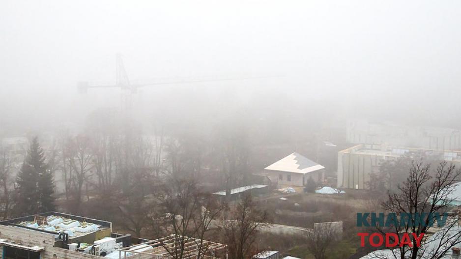 Харьковский зоопарк. Фото: Сергей Козлов / KHARKIV Today Харьковский зоопарк. Фото: Сергей Козлов / KHARKIV Today