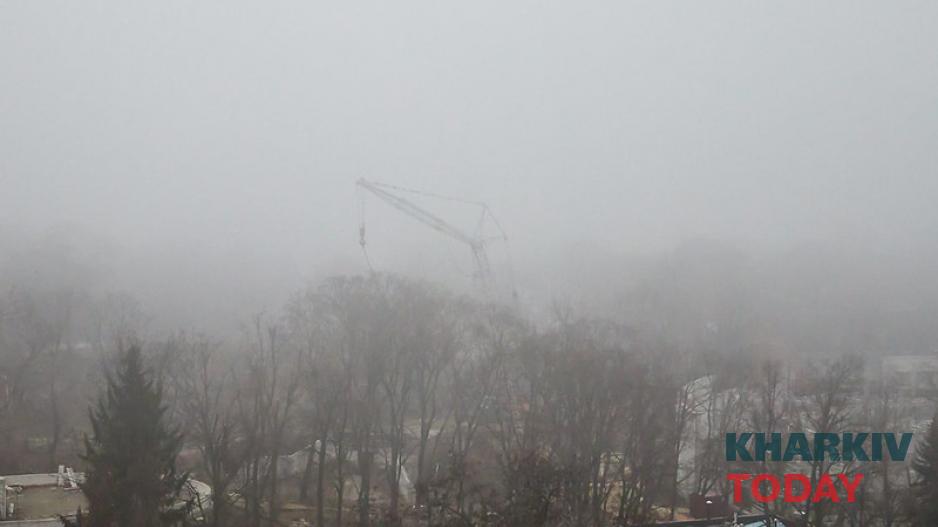 Харьковский зоопарк. Фото: Сергей Козлов / KHARKIV Today Харьковский зоопарк. Фото: Сергей Козлов / KHARKIV Today