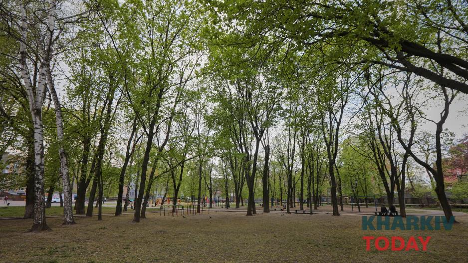 Сад «Тиволи» сегодня. Фото Сергей Козлов/KHARKIV Today