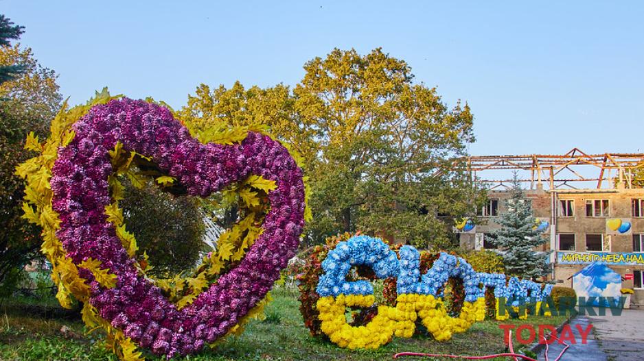 екопарк, бал хризантем 1