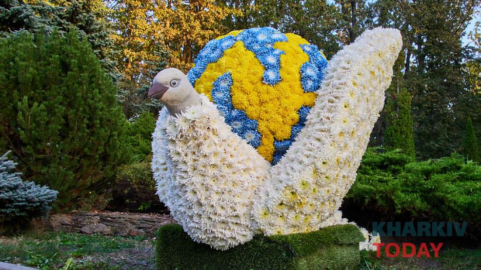 екопарк, бал хризантем 1