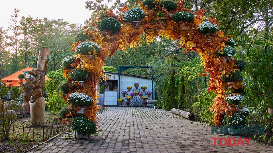 екопарк, бал хризантем 1