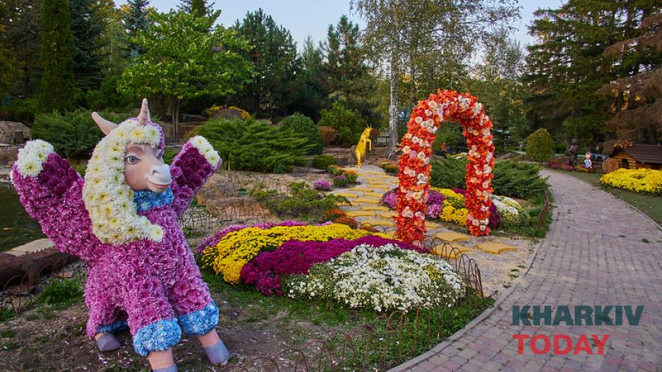 екопарк, бал хризантем 1