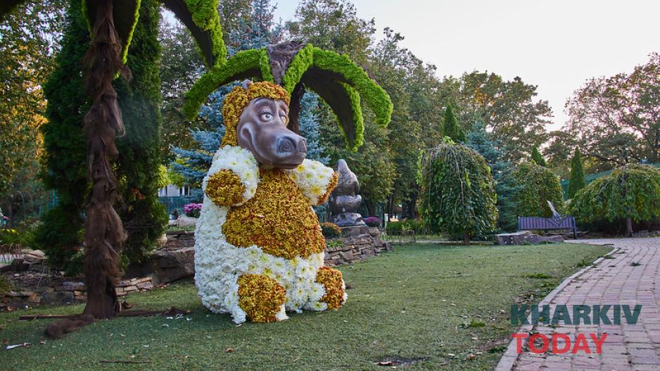 екопарк, бал хризантем 1