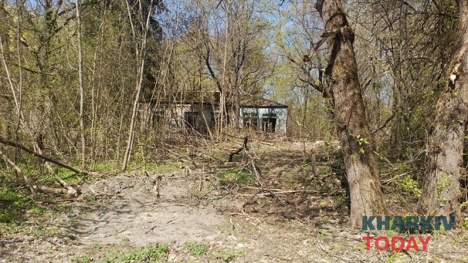 Чернобыльская зона отчуждения: наши дни. Фото: Юлия Ворона / KHARKIV Today