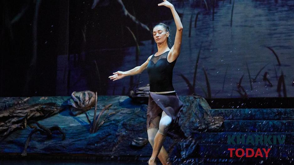 лебединое озеро на воде. Фото: Сергей Козлов / KHARKIV Today лебединое озеро на воде. Фото: Сергей Козлов / KHARKIV Today