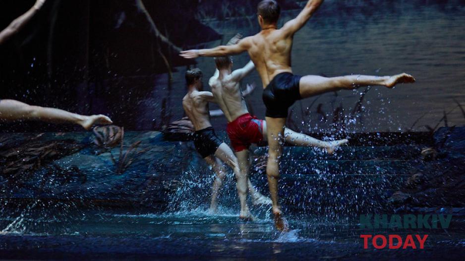 лебединое озеро на воде. Фото: Сергей Козлов / KHARKIV Today лебединое озеро на воде. Фото: Сергей Козлов / KHARKIV Today