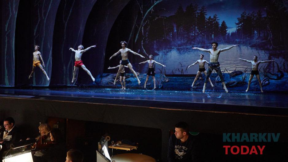 лебединое озеро на воде. Фото: Сергей Козлов / KHARKIV Today лебединое озеро на воде. Фото: Сергей Козлов / KHARKIV Today