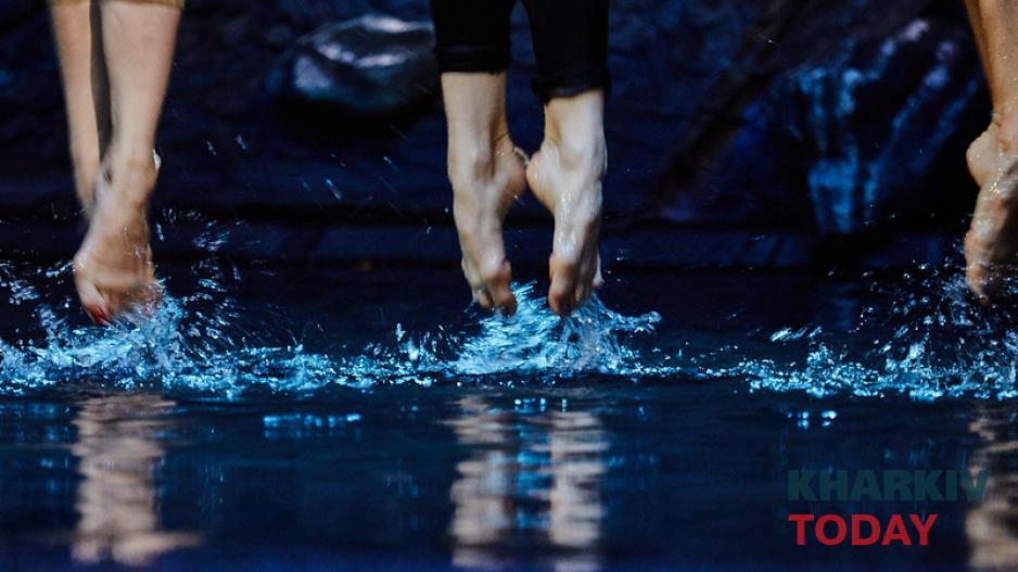 лебединое озеро на воде. Фото: Сергей Козлов / KHARKIV Today лебединое озеро на воде. Фото: Сергей Козлов / KHARKIV Today