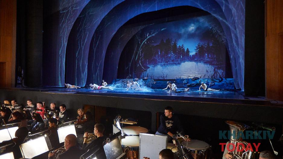 лебединое озеро на воде. Фото: Сергей Козлов / KHARKIV Today лебединое озеро на воде. Фото: Сергей Козлов / KHARKIV Today