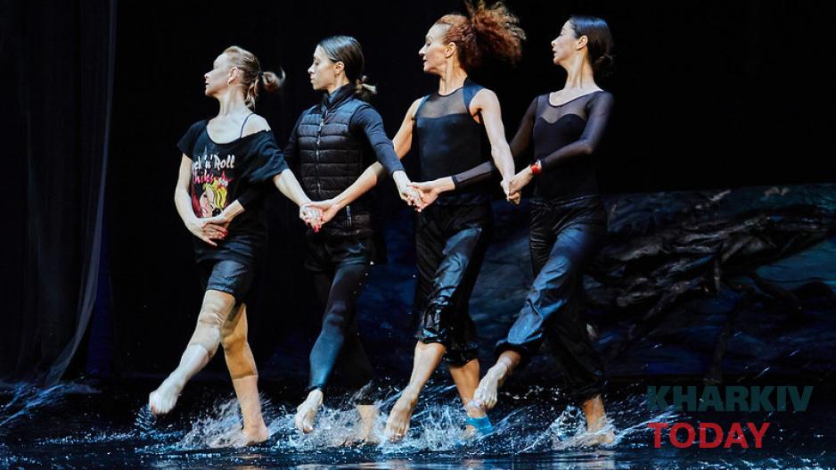 лебединое озеро на воде. Фото: Сергей Козлов / KHARKIV Today лебединое озеро на воде. Фото: Сергей Козлов / KHARKIV Today