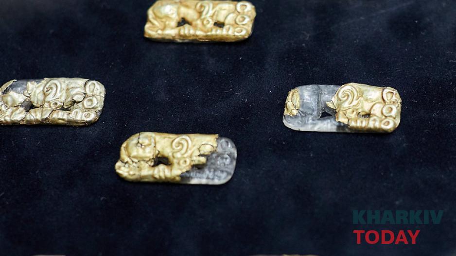 выставка музей археологии. Фото: Сергей Козлов / KHARKIV Today выставка музей археологии. Фото: Сергей Козлов / KHARKIV Today
