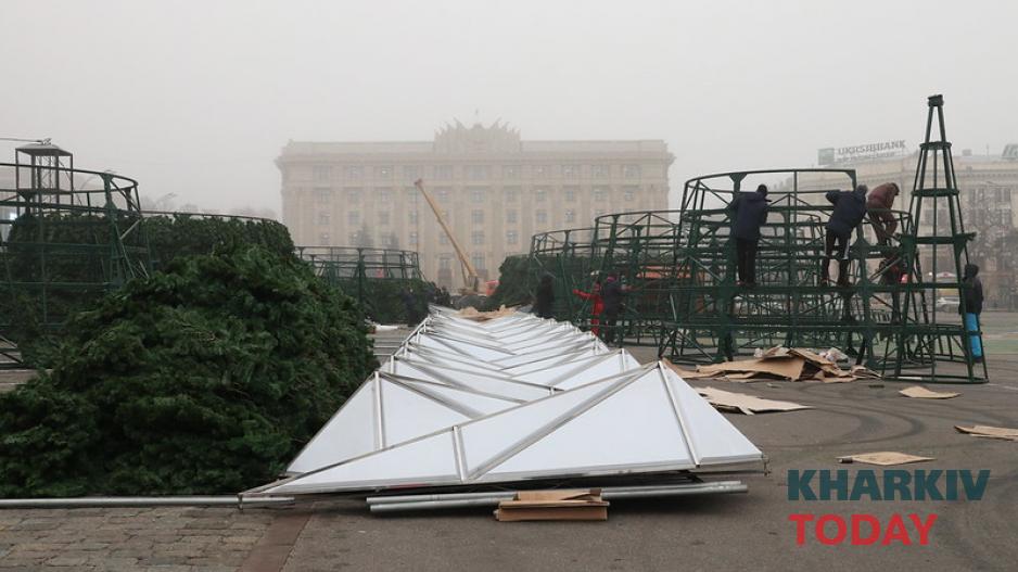 елка на площади Свободы. Фото: Сергей Козлов / KHARKIV Today елка на площади Свободы. Фото: Сергей Козлов / KHARKIV Today