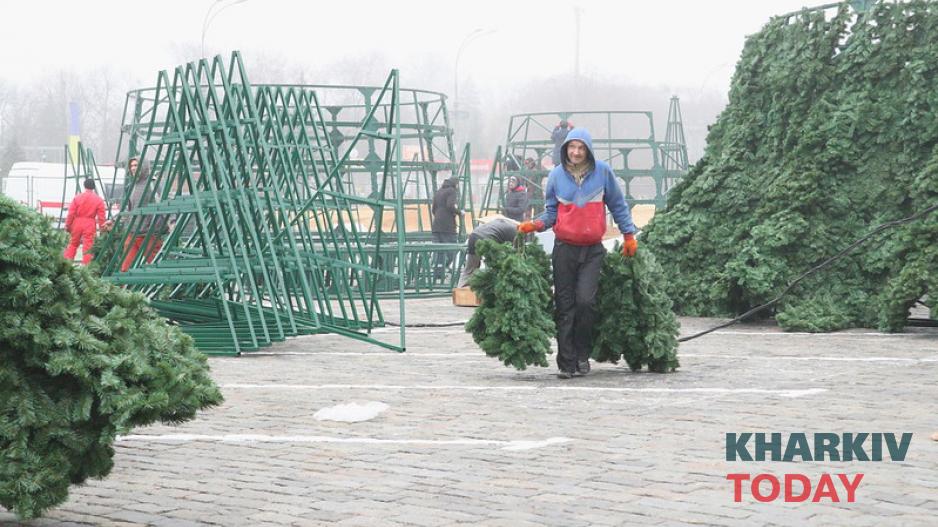 елка на площади Свободы. Фото: Сергей Козлов / KHARKIV Today елка на площади Свободы. Фото: Сергей Козлов / KHARKIV Today