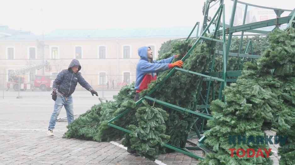 елка на площади Свободы. Фото: Сергей Козлов / KHARKIV Today елка на площади Свободы. Фото: Сергей Козлов / KHARKIV Today