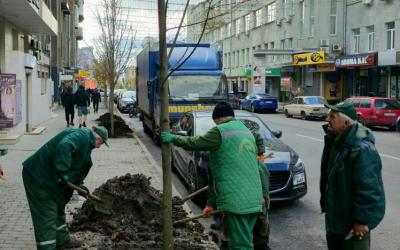 Фото: Харківзеленбуд