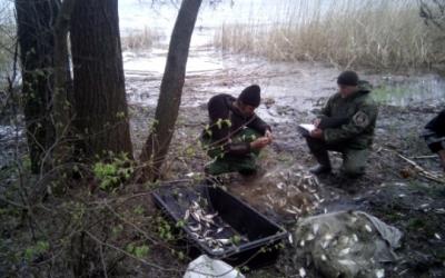 Харьковские рыбаки наловили рыбы около 150 тысяч гривен. Фото: darg.gov.ua