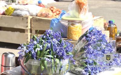 Полицейские оштрафовали незаконных торговцев первоцветами. Фото: ГУНП