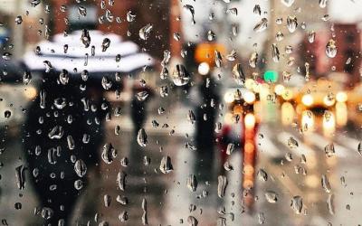 В Харькове пойдут дожди. Фото: соцсети