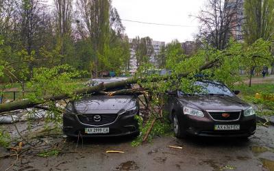 На Алексеевке дерево упало на 4 машины. Фото: Надежда Тофан/ Facebook