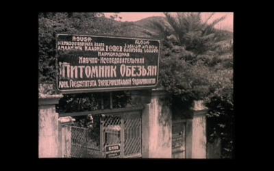 Первый украинский научный фильм сняли в 1930 году. Фото: dovzhenkocentre.org