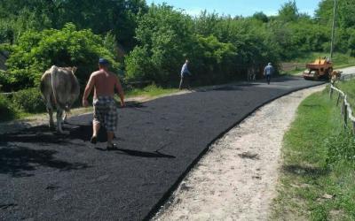 В Полтавской области коровы вытоптали новый асфальт. Фото: соцсети