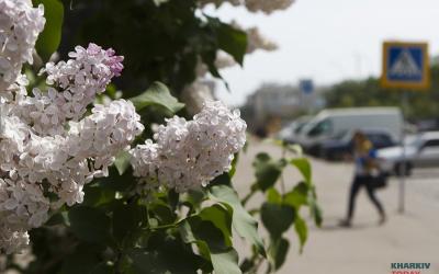 В Харькове дождь и местами град