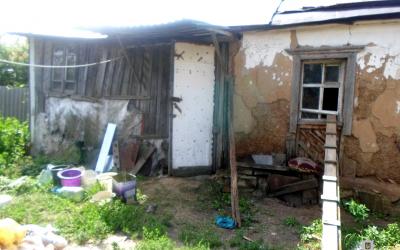 Волонтеры держали животных в нежилом доме в переулке Пластичном. Фото: ГУНП