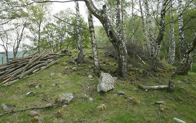 В Норвегии под землей обнаружили корабль викингов. Фото: Kompravda.eu