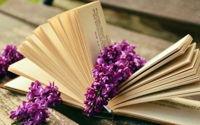 книга