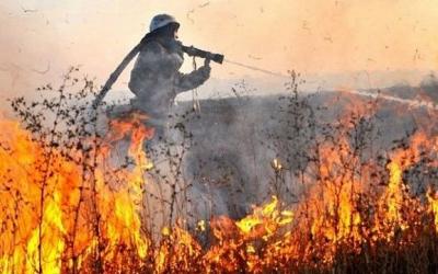 Под Харьковом в выжженной траве нашли тело мужчины.