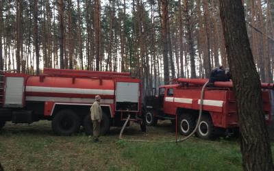 Площадь пожара составила два с половиной гектара. Фото: ГСЧС в Харьковской области