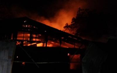пожар в психиатрической больнице Одесса. Фото: ГСЧС в Одесской области